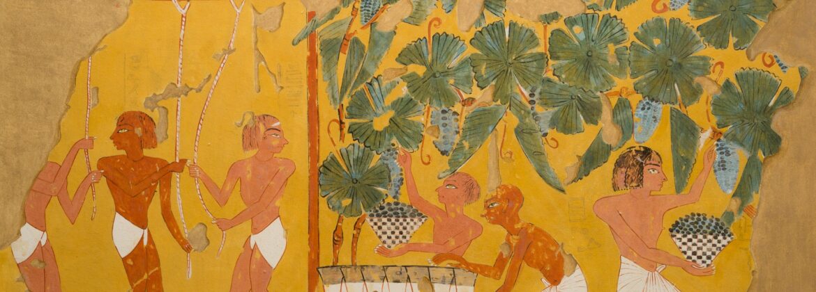 Vintage Scene from DeM TT217 Ipuy Dyn. XIX R.II NY MET 30.4.118 EGDP 022609 Public Domain